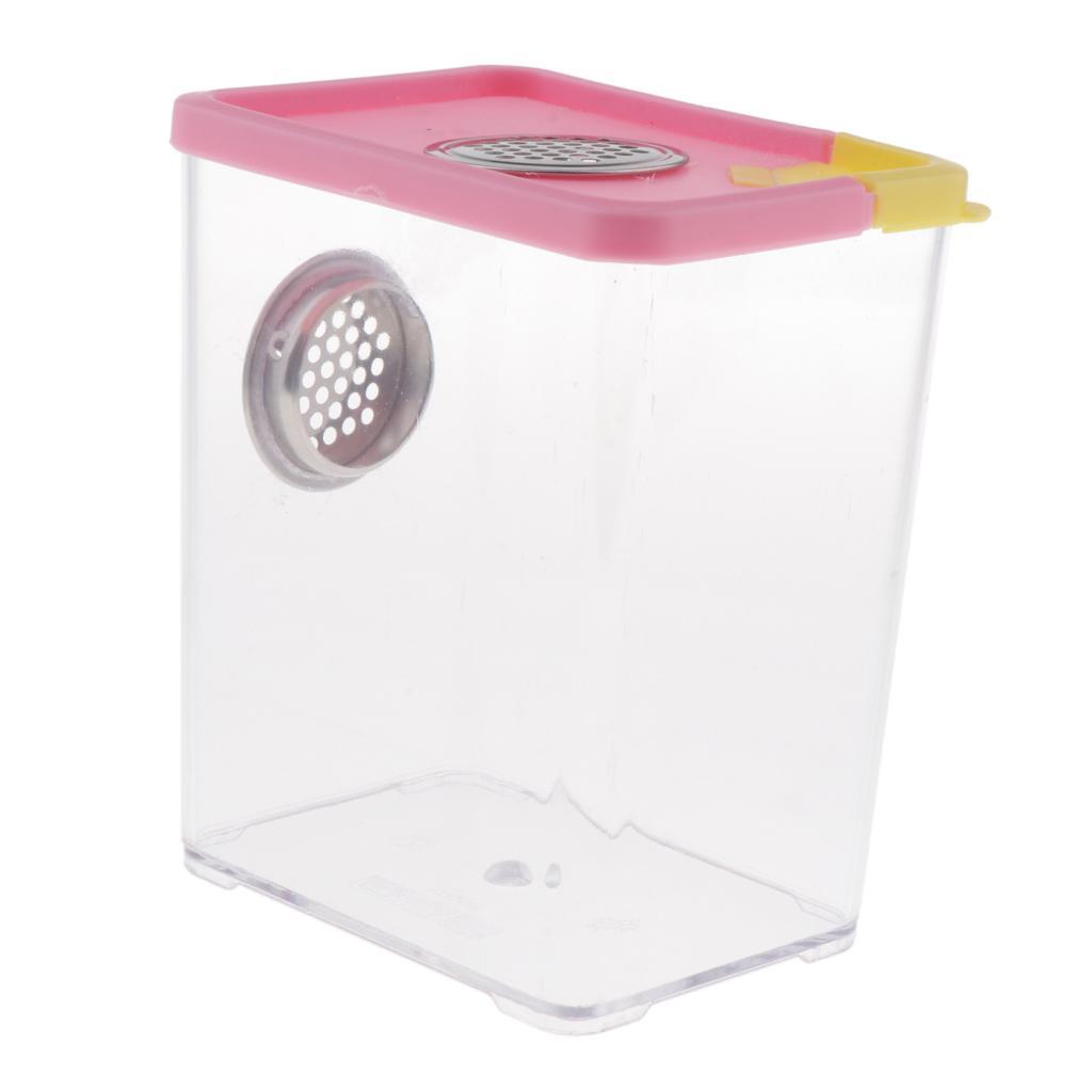 Plastic Transparent Reptile Pet Spider Scorpion Feeding Breeding Box Case