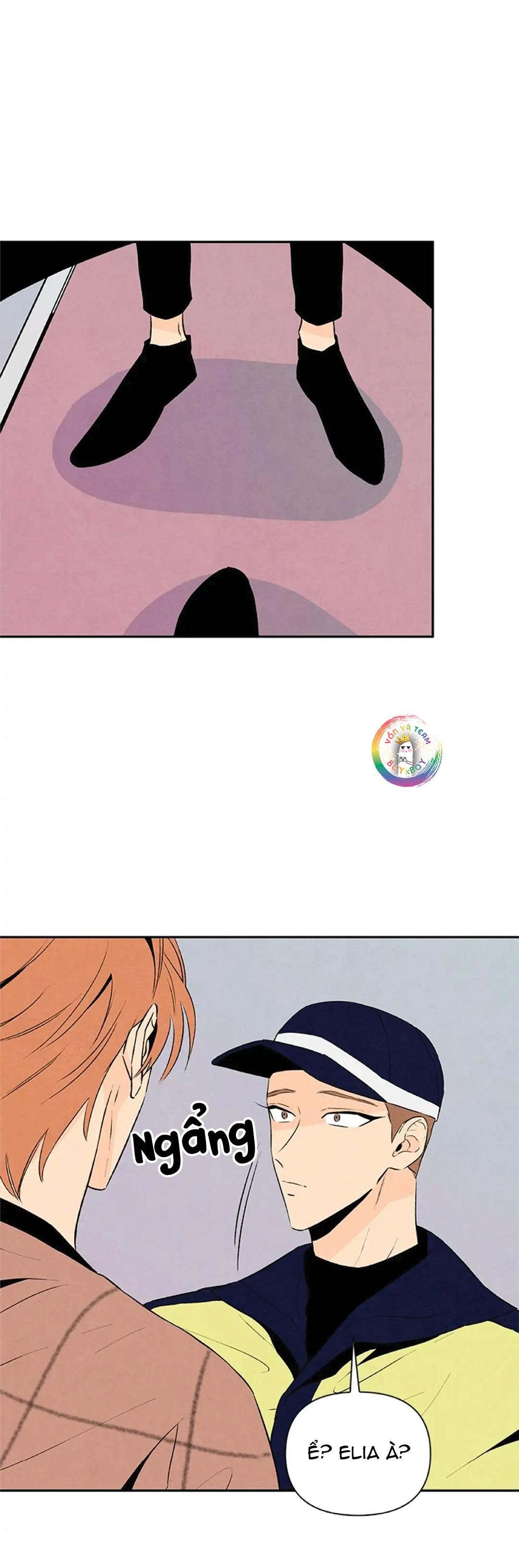 bona sort chapter 23 31