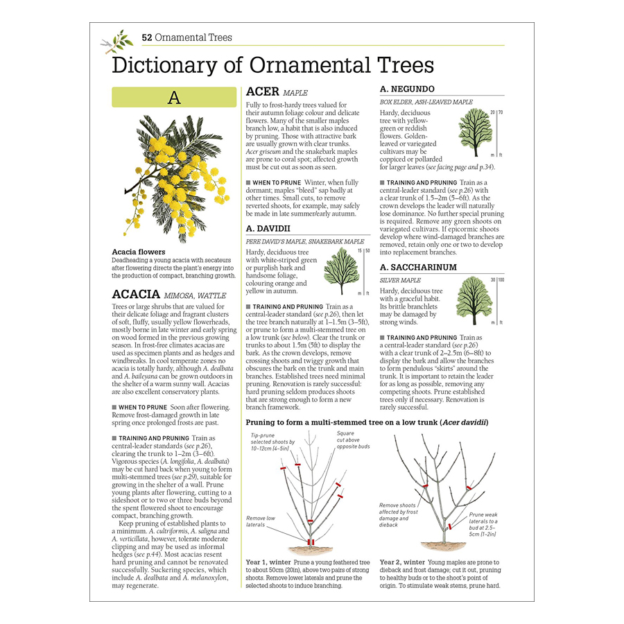 RHS Pruning &amp; Training