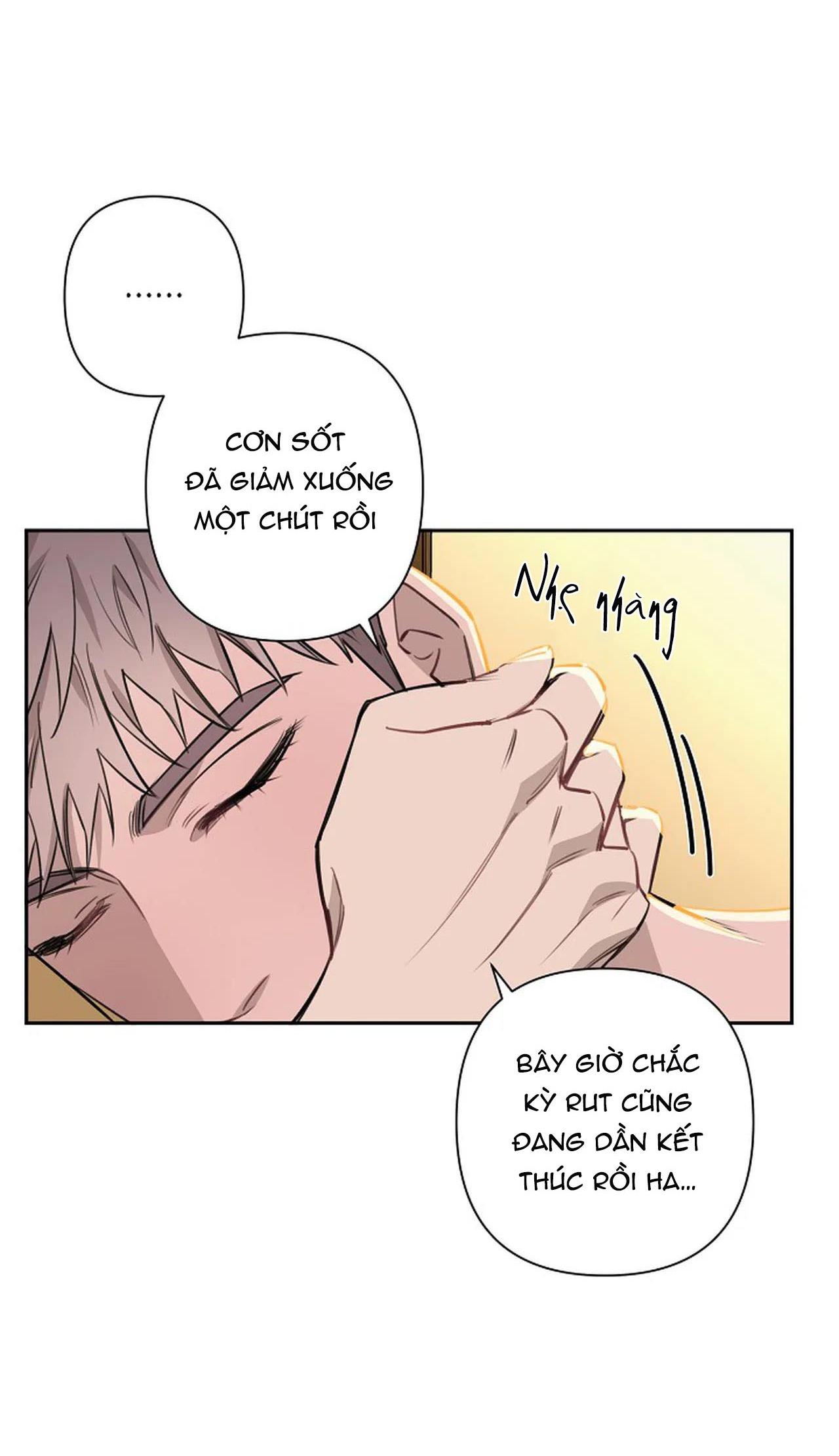 đêm dịu dàng chapter 52 37