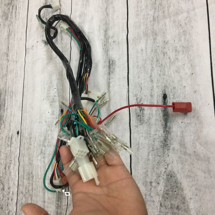 Bộ Dây Điện Sườn dành cho Xe Win Có Đề - TB1707