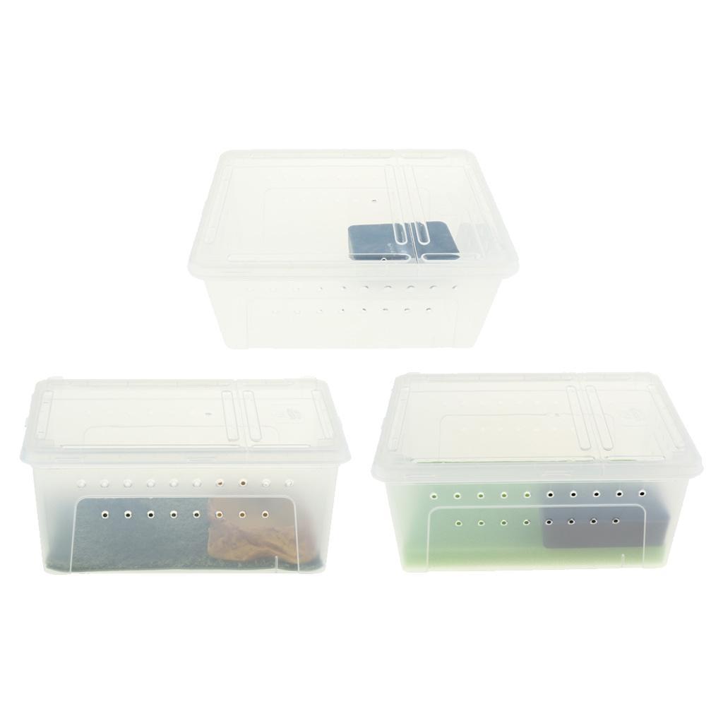 Reptile Amphibian Habitat Terrarium Vivarium Breeding Box