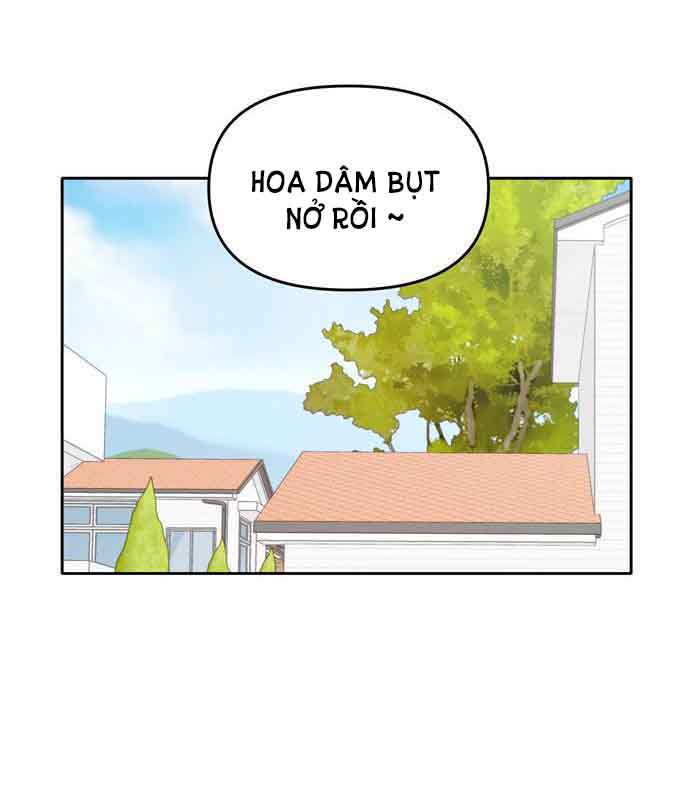 hẹn gặp anh ở kiếp thứ 19 chapter 116 15