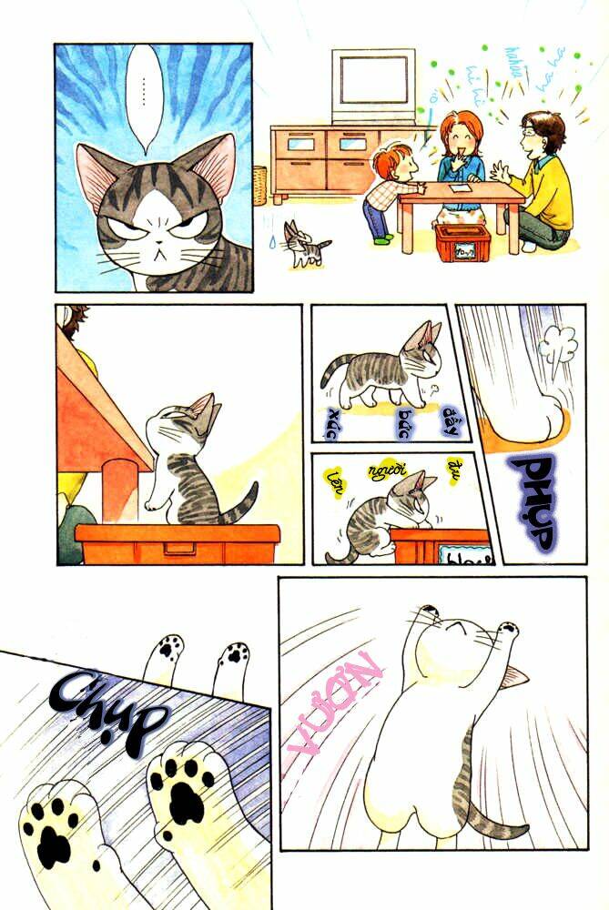 chi's sweet home chapter 24 7