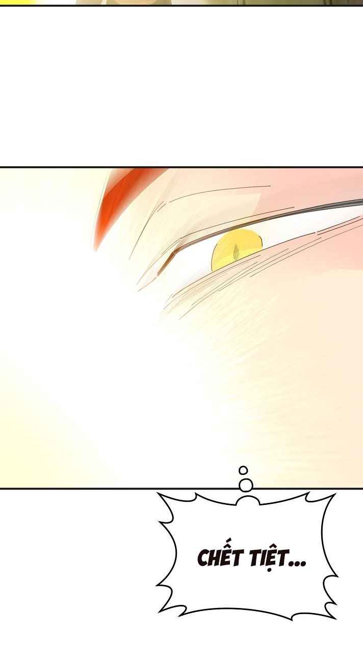 ác nữ tiểu thư chapter 93 96