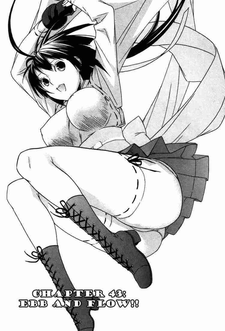 sekirei chapter 43 1