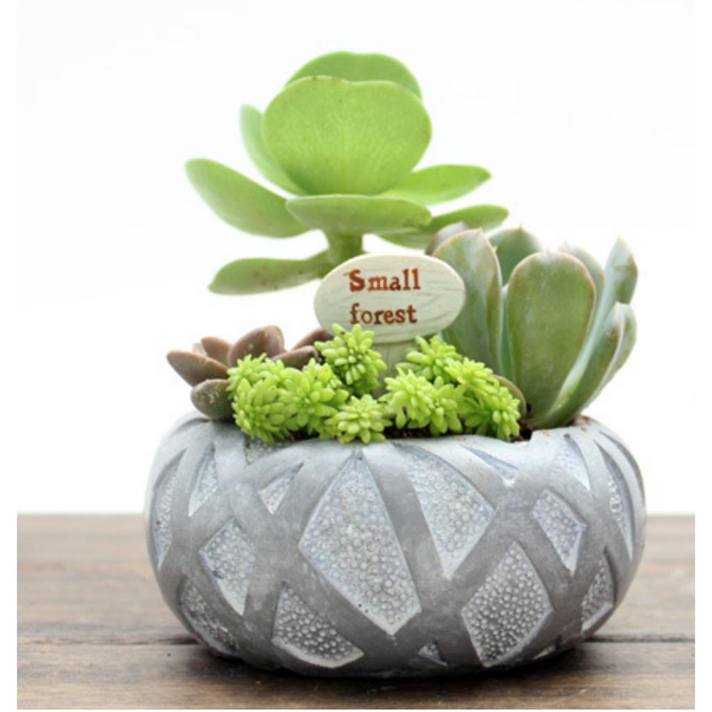 Flowerpot Creative Resin Flower Pot Planter Garden Succulent Plant Decor #5