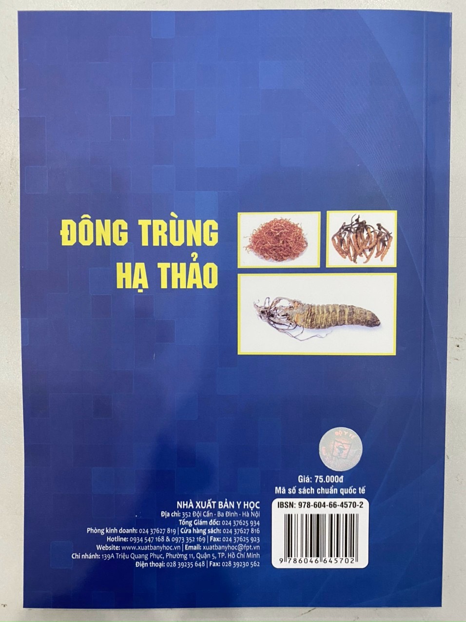 Đông Trùng Hạ Thảo - Một Dược Liệu Quý Hỗ Trợ Điều Trị Các Bệnh Virus, Ung Thư, HIV/AIDS, Đái Tháo Đường, Suy Giảm Tình Dục... Và Nghiên Cứu Phát Hiện Loài Đông Trùng Hạ Thảo Mới Ở Việt Nam