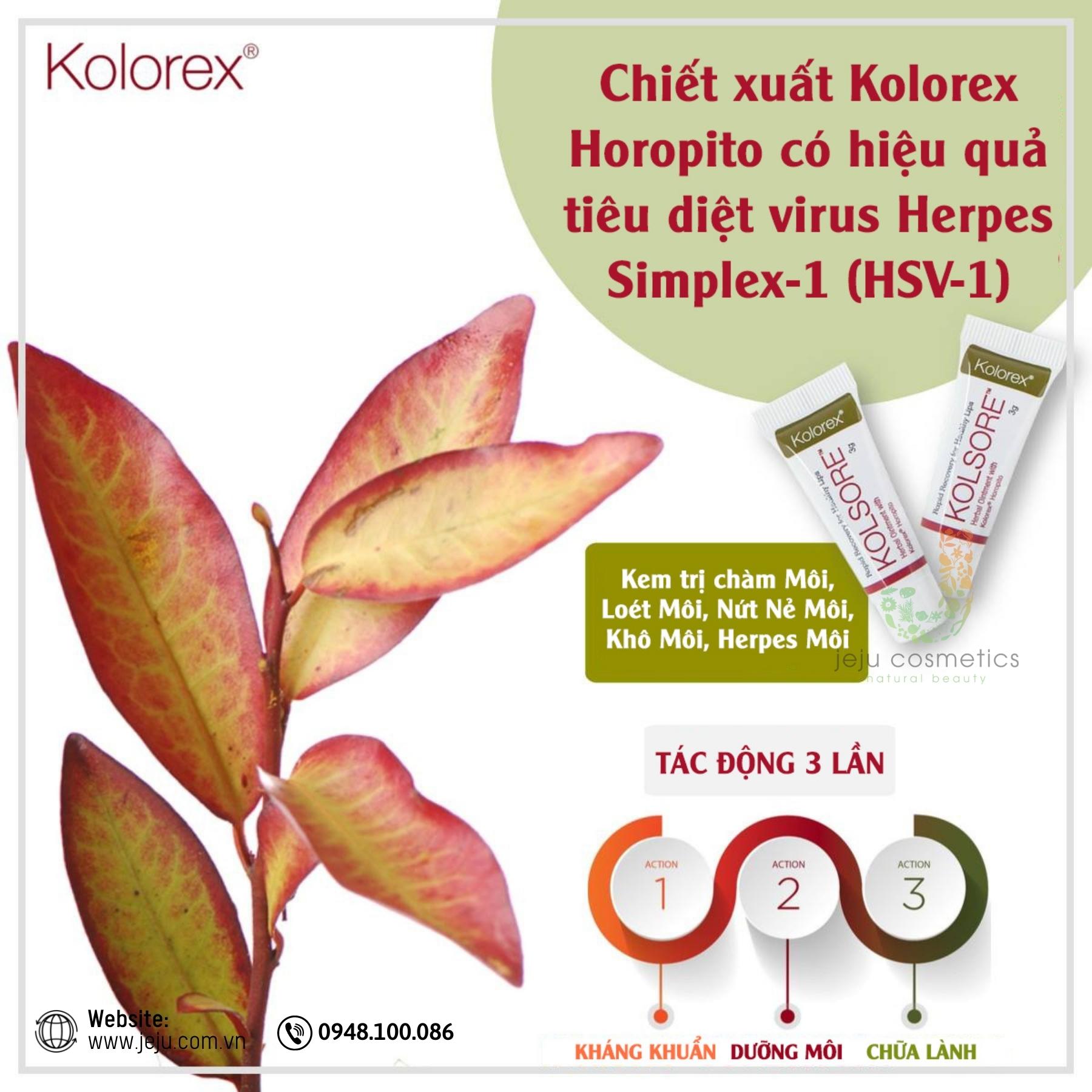 Kolorex Kolsore Lip Care Ointment 5gr