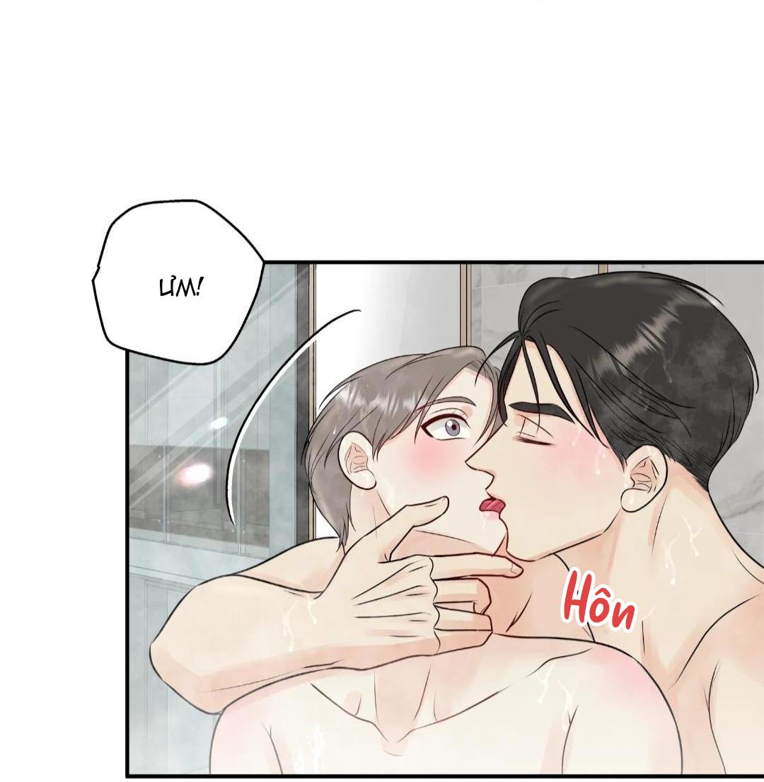 hạnh phúc trọn vẹn chapter 24 4