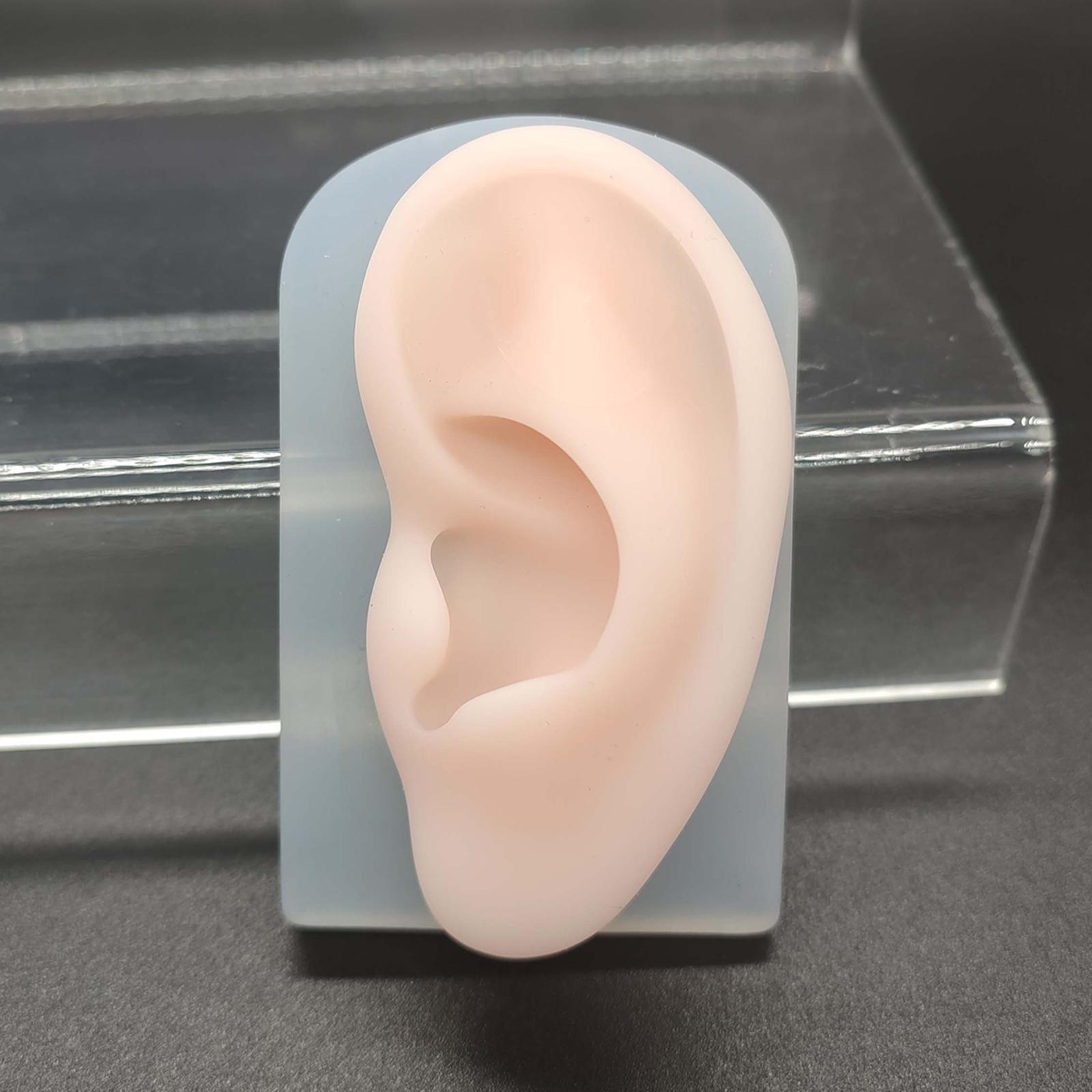 2Pcs Human Body Part Model Flexible Mold for Piercing Exercises Ears
