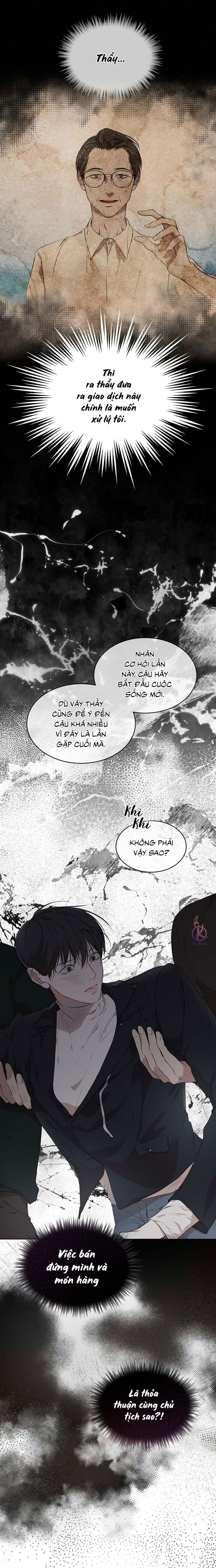 hình thái khởi sinh chapter 50 6