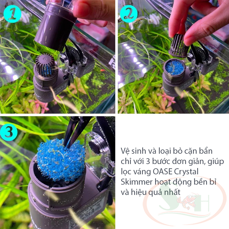 Lọc váng OASE Crystal Skimmer 350, 600 Surface hút váng dầu bể cá tép thủy sinh