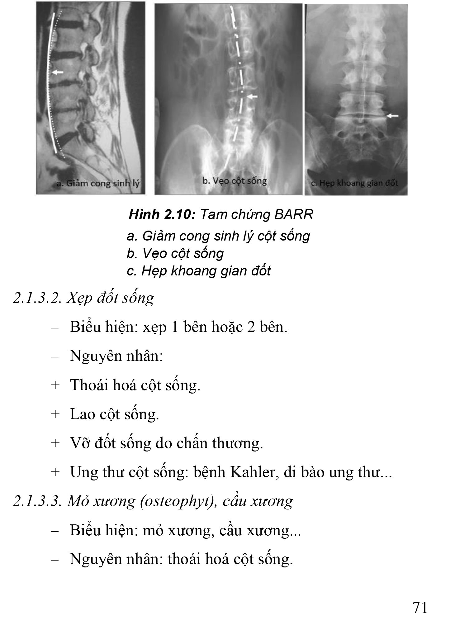 Thực Hành Lâm Sàng Thần Kinh Học - Tập 4: Chẩn Đoán Cận Lâm Sàng