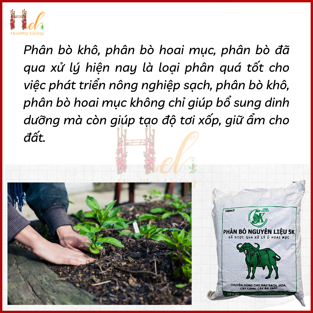 Phân Bò Hoai Mục 10dm3  Đã Qua Xử Lý Trồng Rau, Hoa Kiểng, Cây Kiểng, Cây Trong Nhà