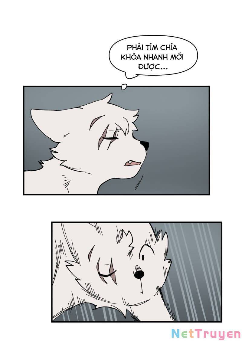 lumine - cội nguồn ánh sáng chapter 154 29