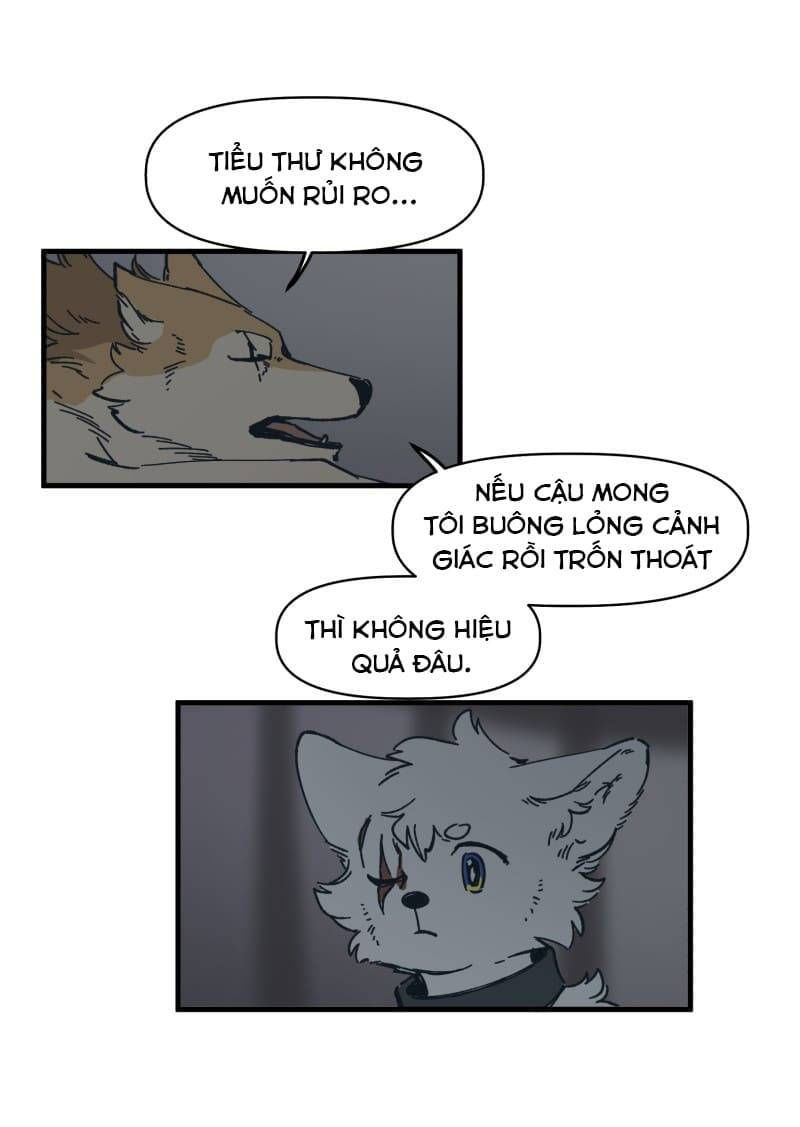 lumine - cội nguồn ánh sáng chapter 140 8