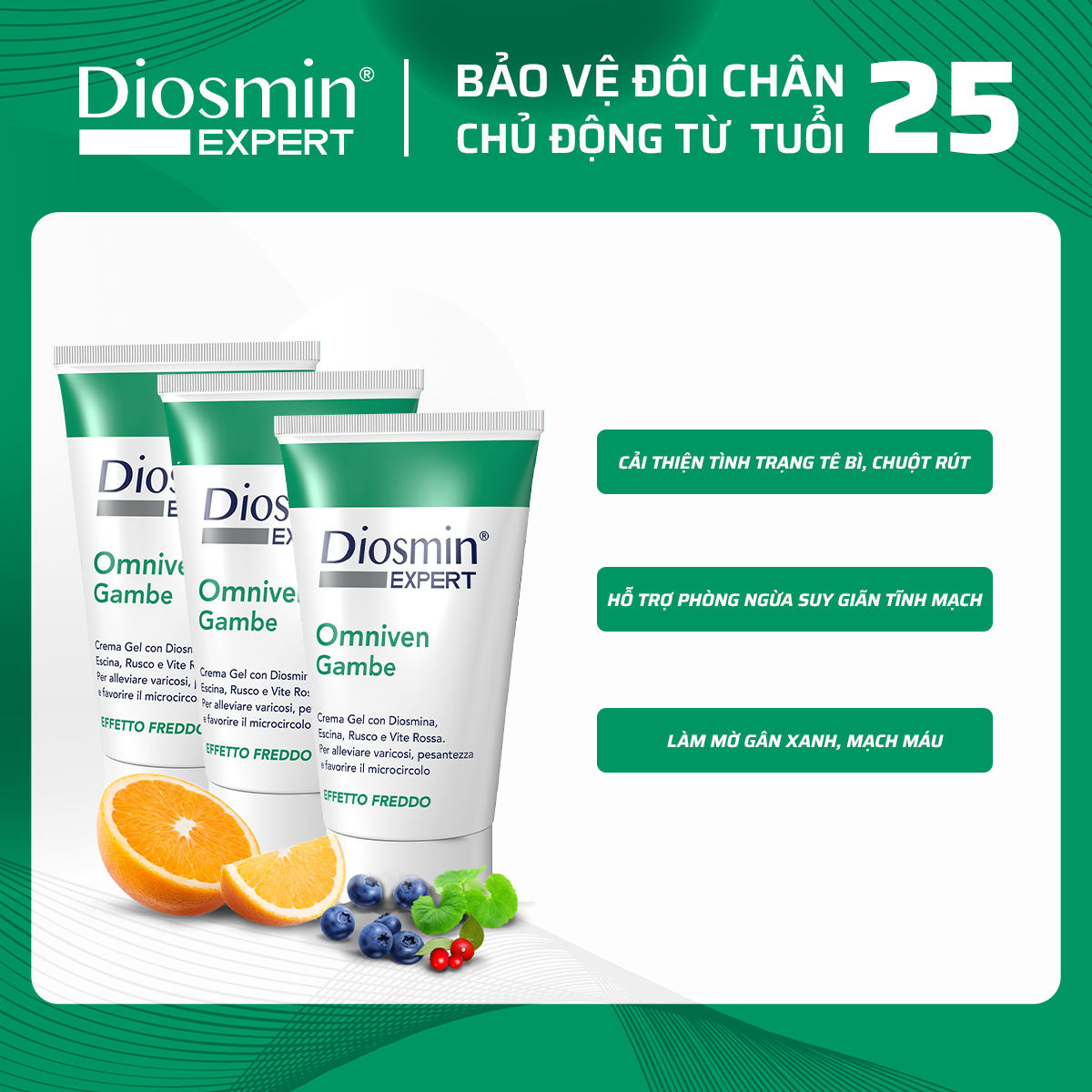 Combo 3 Kem bôi suy giãn tĩnh mạch Diosmin Expert