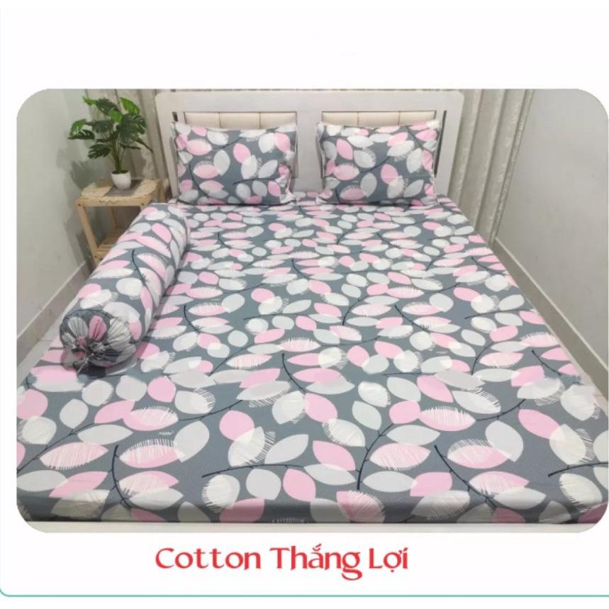 Bộ Drap Cotton THẮNG LỢI 4 món hoặc drap lẻ.