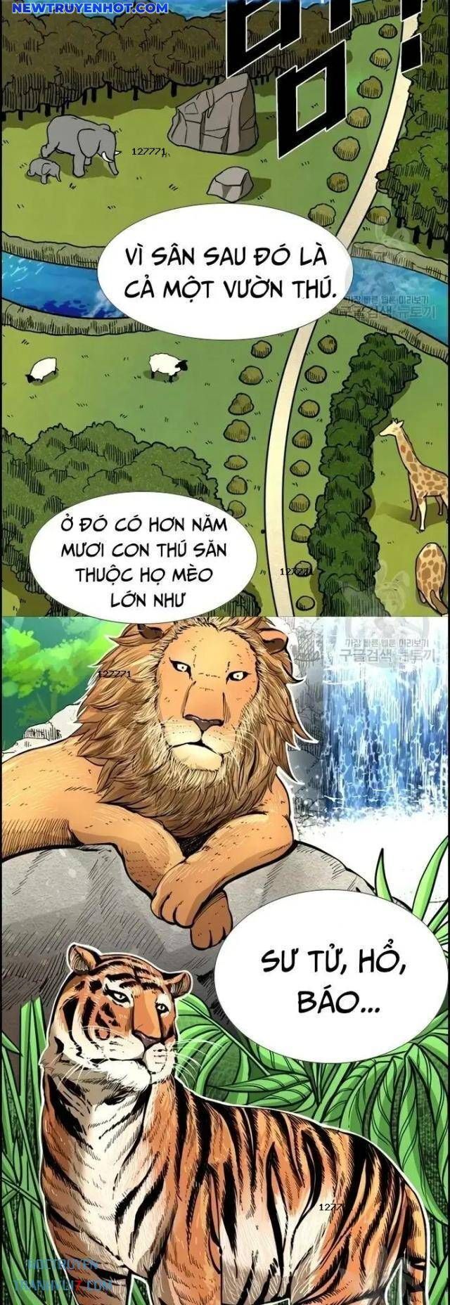 shark - cá mập chapter 222 10