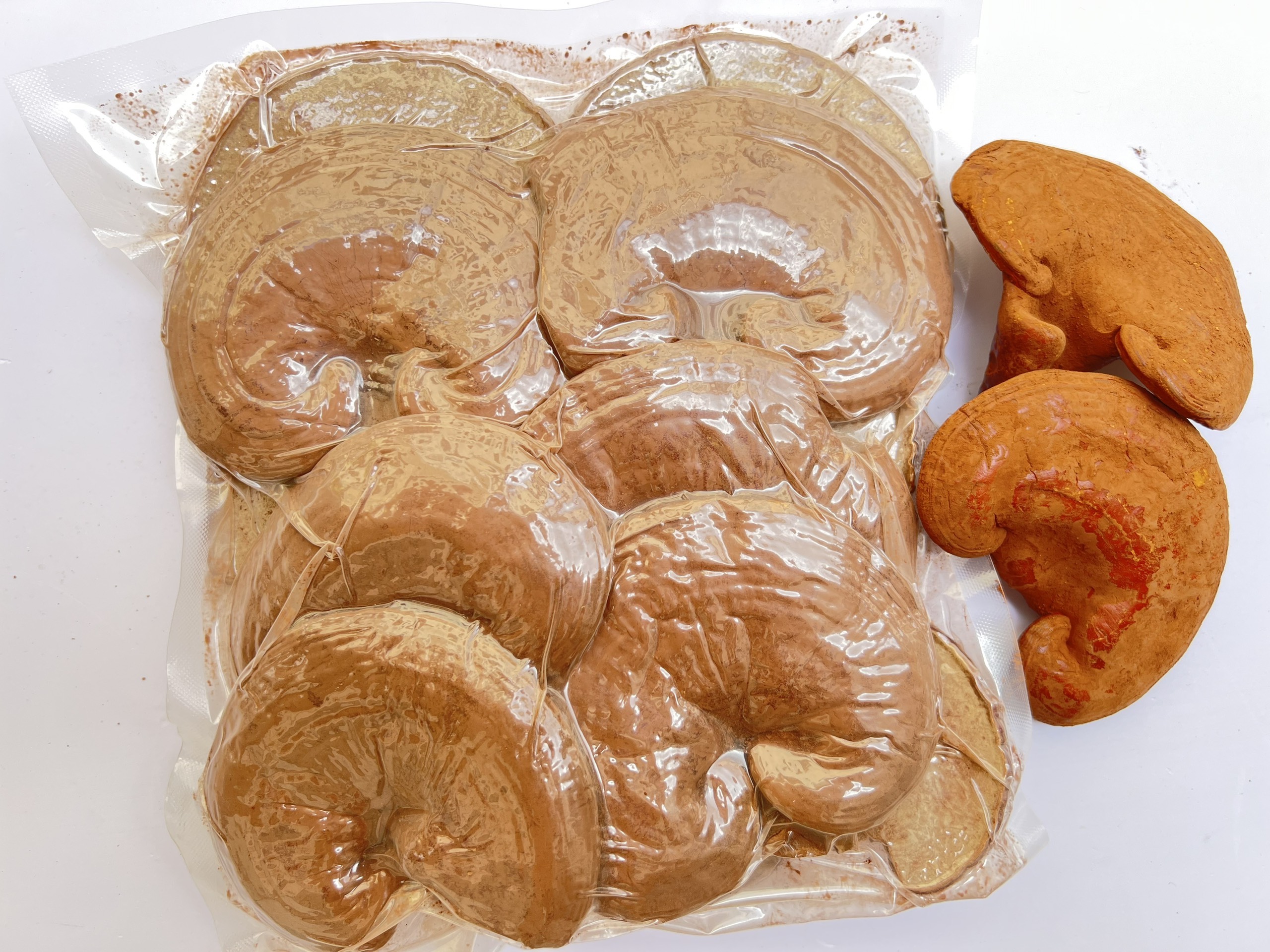 Trà Nấm Linh Chi Đỏ Đất Thép Giống Việt 100g - Giải độc gan - Ổn định đường huyết