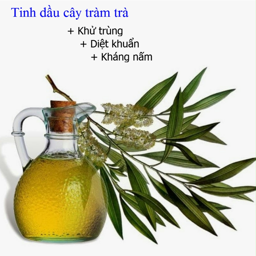 Dung dịch vệ sinh phụ nữ kháng khuẩn cây trà Zelenaya Apteka Gentle intime soap tea tree 370ml