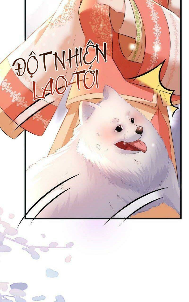 quận chúa vững vàng, thiết lập nhân vật không thể vỡ chapter 55 24