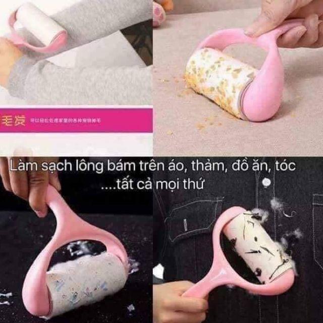 Cây lăn bụi quần áo