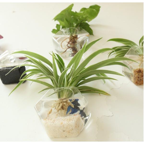 KHO-HN * Lọ thủy tinh hình lục giác trồng thủy canh treo tường phù hợp cho các bạn làm DIY