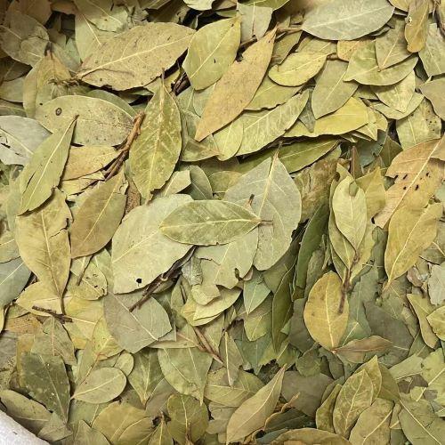 Lá Nguyệt Quế 1kg (Lá Thơm, Bay Leaves)