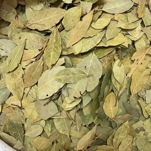 Bộ sưu tập đĩa đốt gỗ Palo santo chuyên dụng