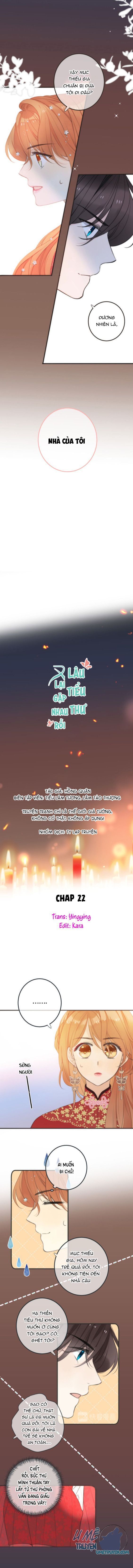lại gặp nhau rồi, lâu tiểu thư chapter 22 1