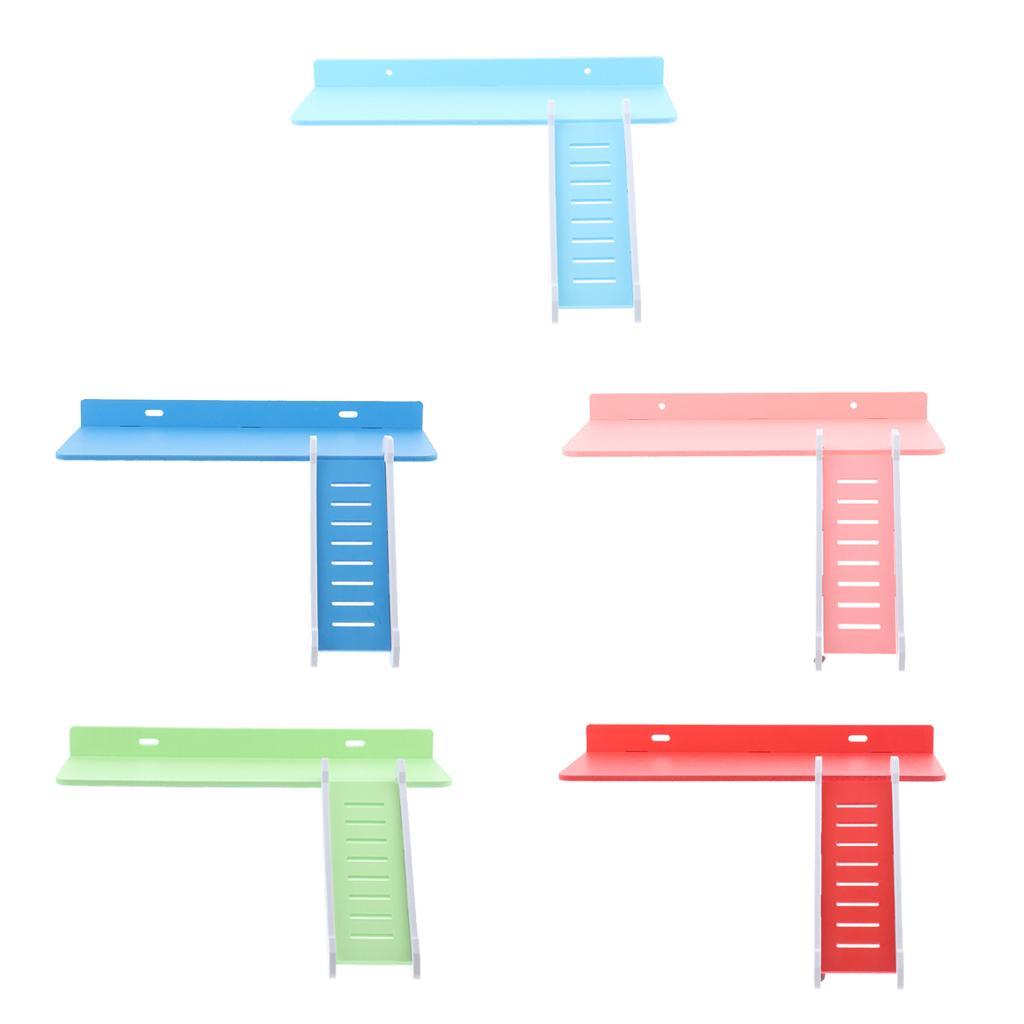 Wooden Platform and Ladder Set for Chinchilla Hamster Climbing