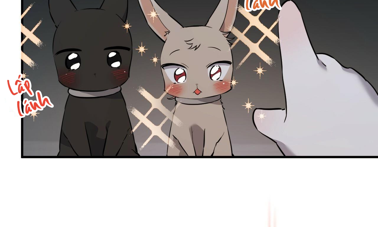 đàn thỏ của habibi chapter 47 11