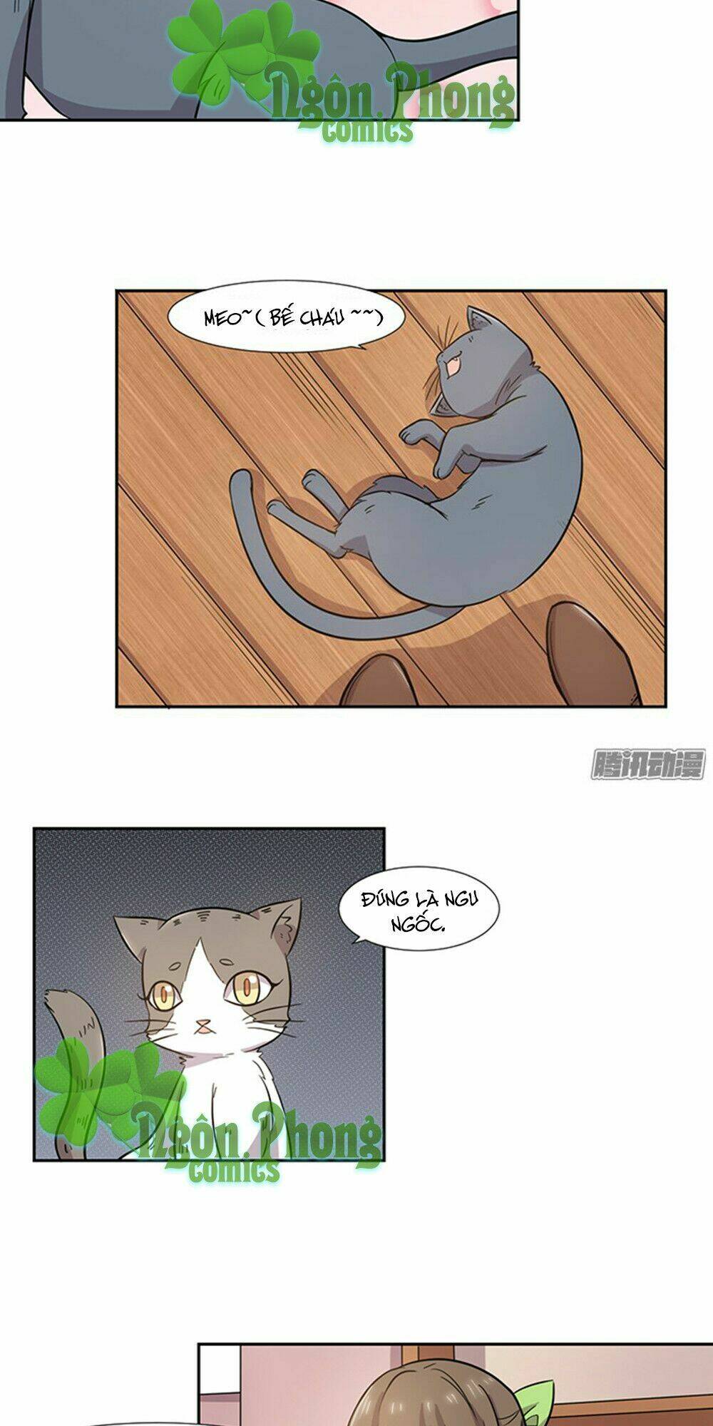 hai chú mèo totem chapter 25 7