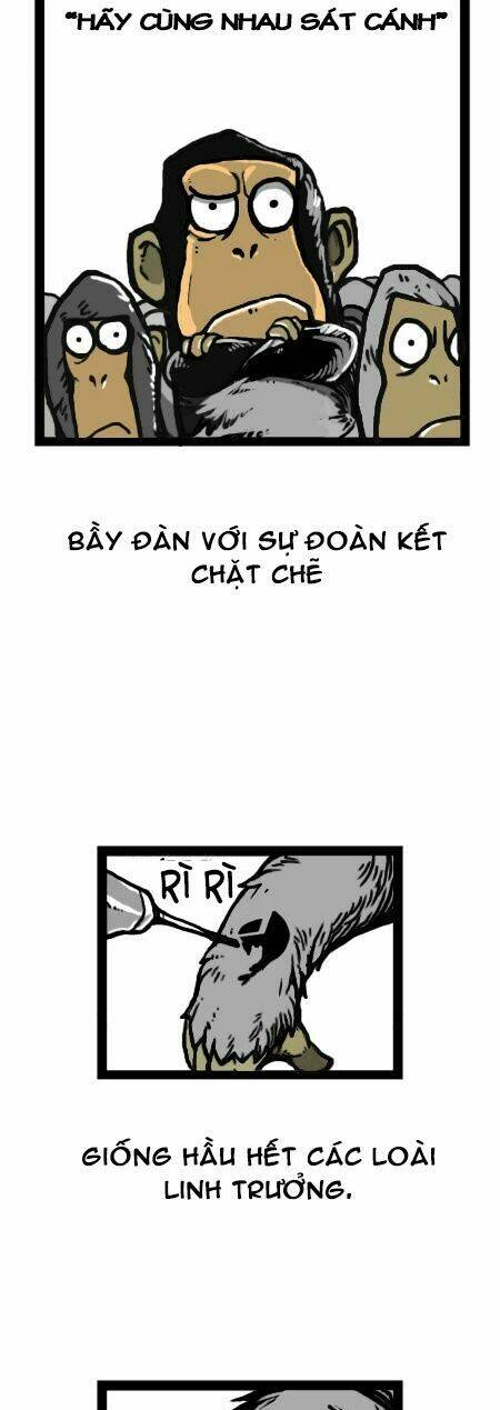 earth, human, and animal chapter 15 10