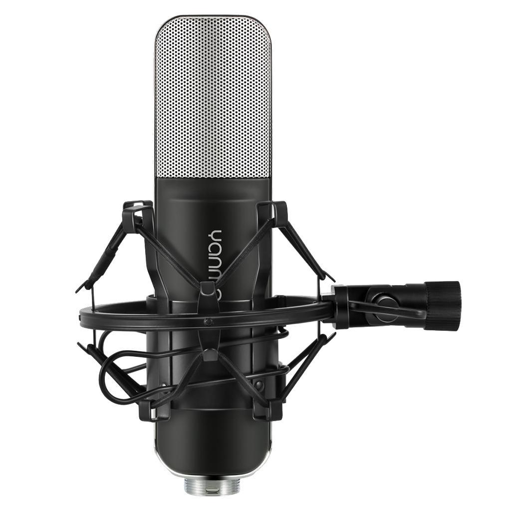 Professional Condenser Studio Broadcast & Recording Microphone +Shock Mount