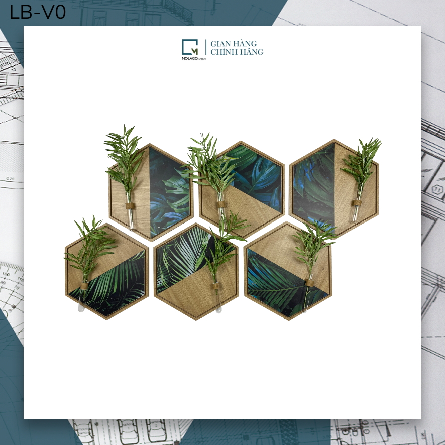 Kệ lục giác trang trí, kệ dán tường hình tổ ong decor phòng, kệ cắm hoa treo tường MOLAGO LB-V