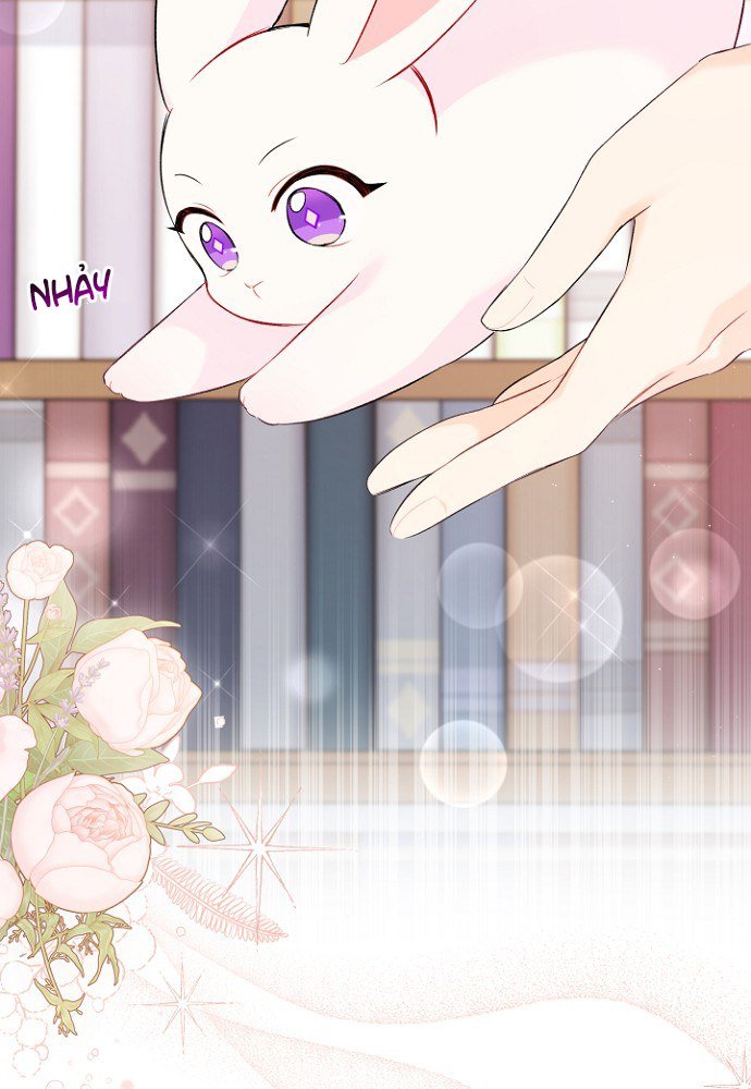 mối liên kết giữa báo đen và bé thỏ chapter 47 48