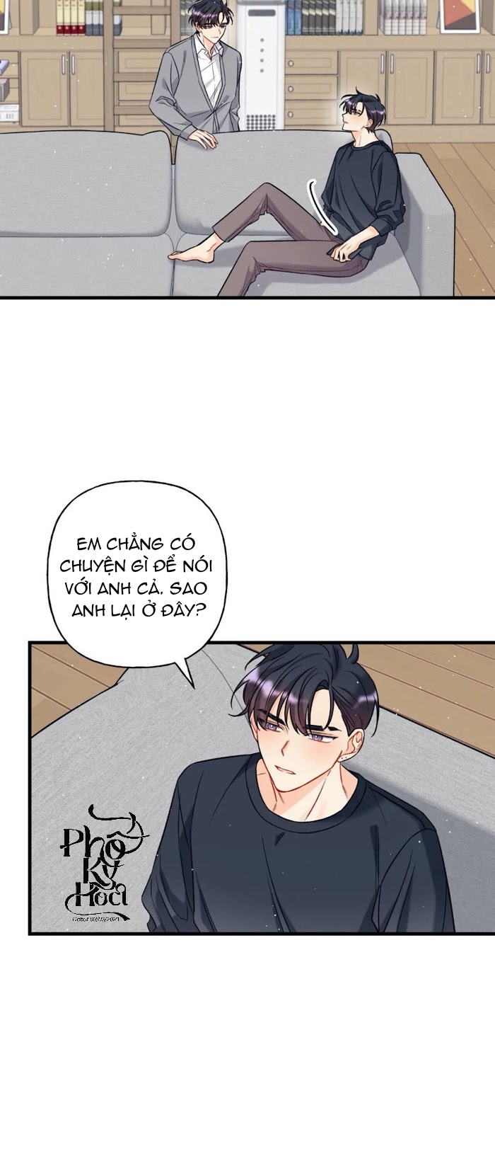 dưới ánh hào quang chapter 5 19