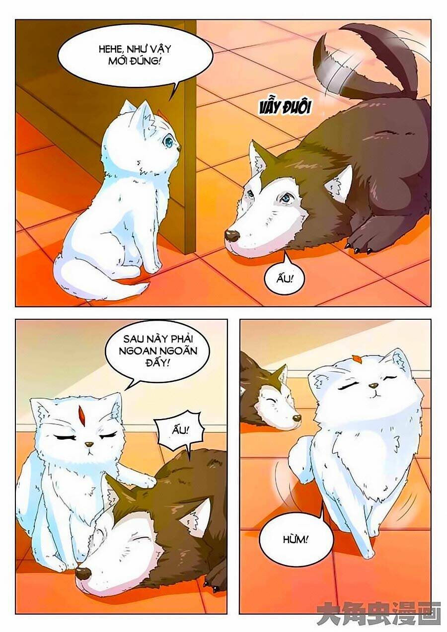 mau lấy con mèo đó ra chapter 2 14