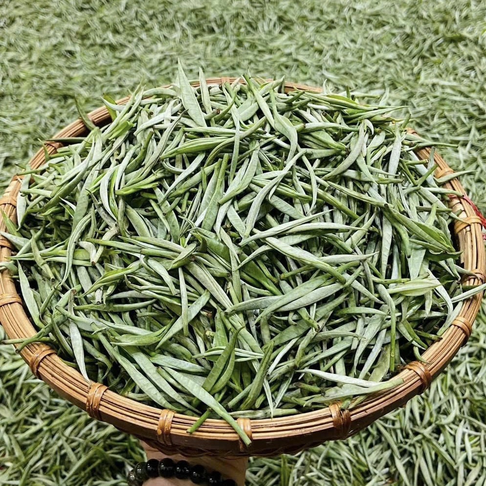 BẠCH TRÀ CỔ THỤ HÀ GIANG CAO CẤP - TUYỆT PHẨM TRÀ QUÝ VIỆT NAM - 50G - VIỆT LONG TRÀ