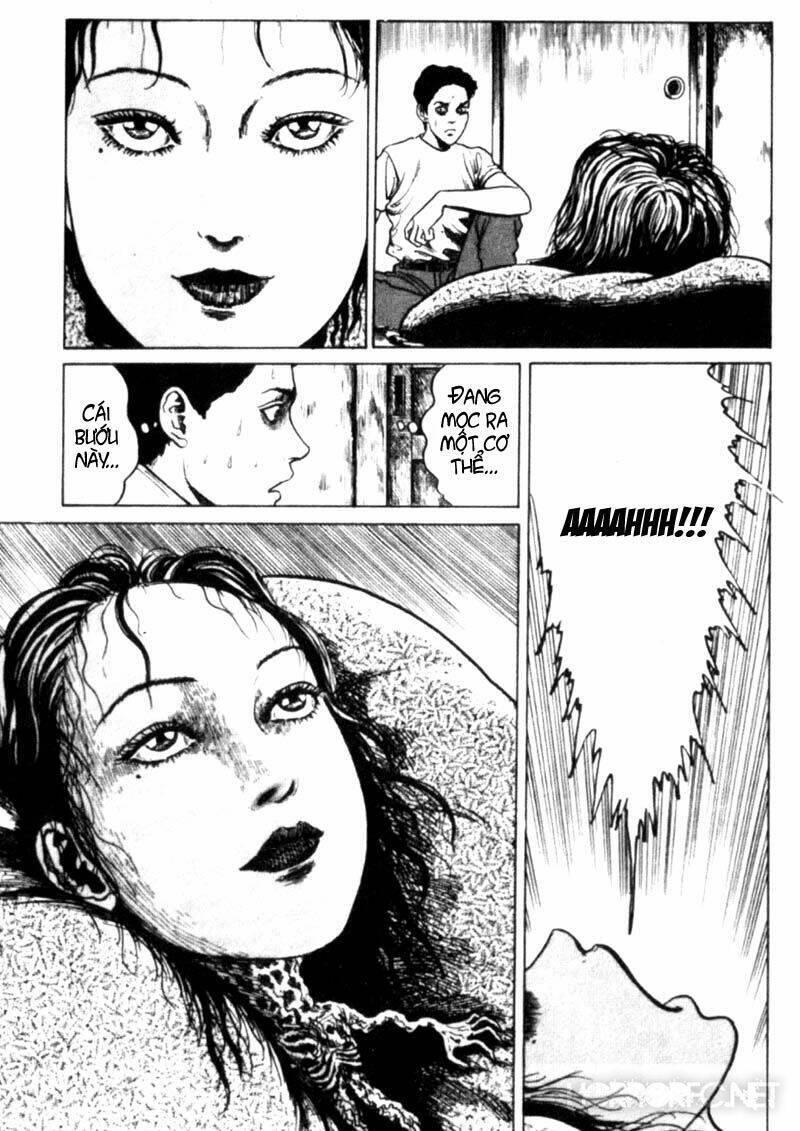 tuyển tập truyện ngắn kinh dị của ito junji chapter 2.4 22