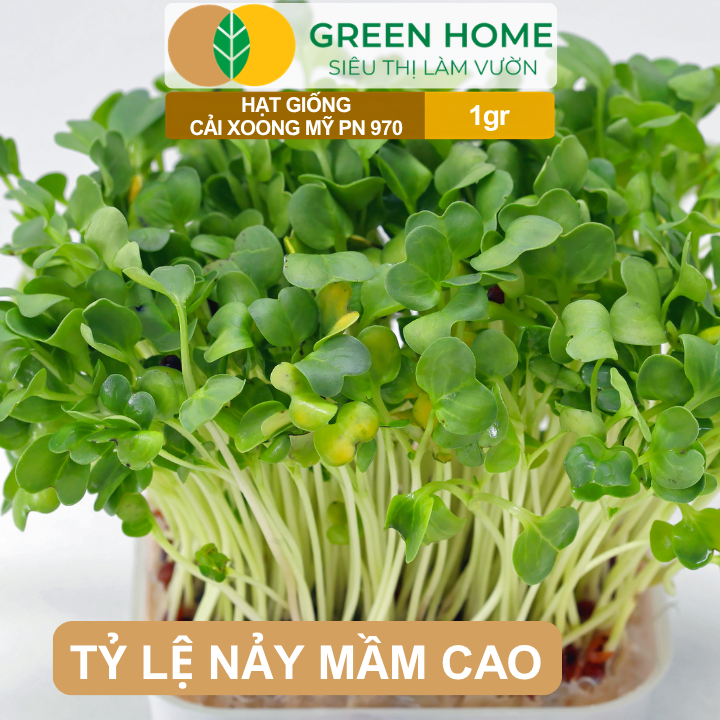 Hạt Giống Rau Xà Lách Xoong GreenHome, Gói 1gr, Dễ Trồng, Nảy Mầm Cao, Thu Hoạch Nhanh R01