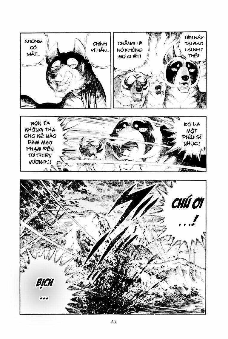 chú chó có nghĩa - ginga nagareboshi gin chapter 31 45