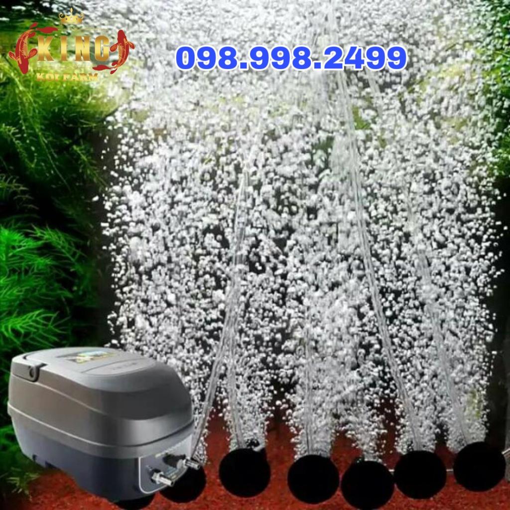 MÁY SỦI OXY TÍCH ĐIỆN HAILEA Dùng dự phòng khi cúp điện cho hồ cá KOI