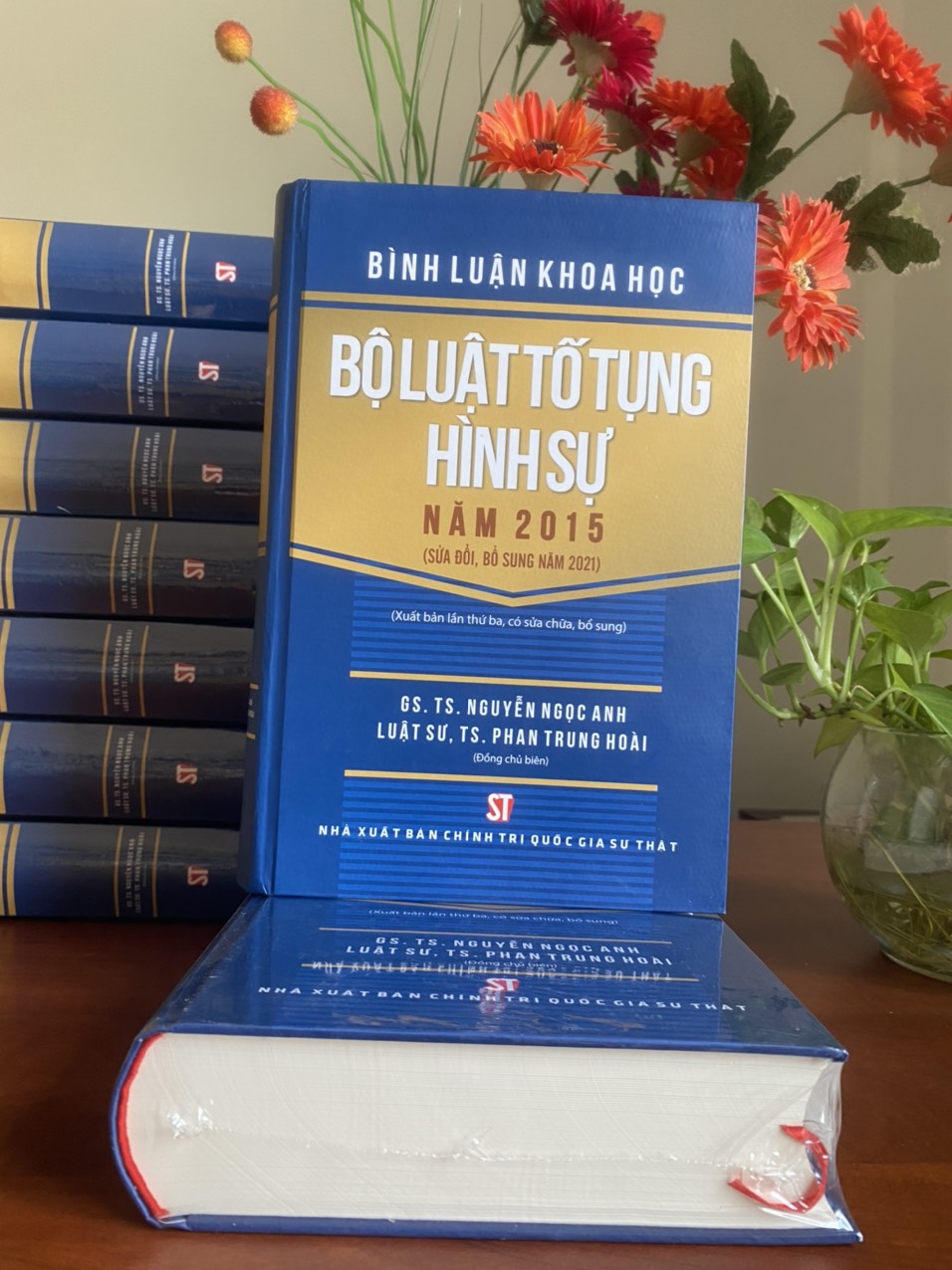 Bình Luận Khoa Học Bộ Luật Tố Tụng Hình Sự Năm 2015