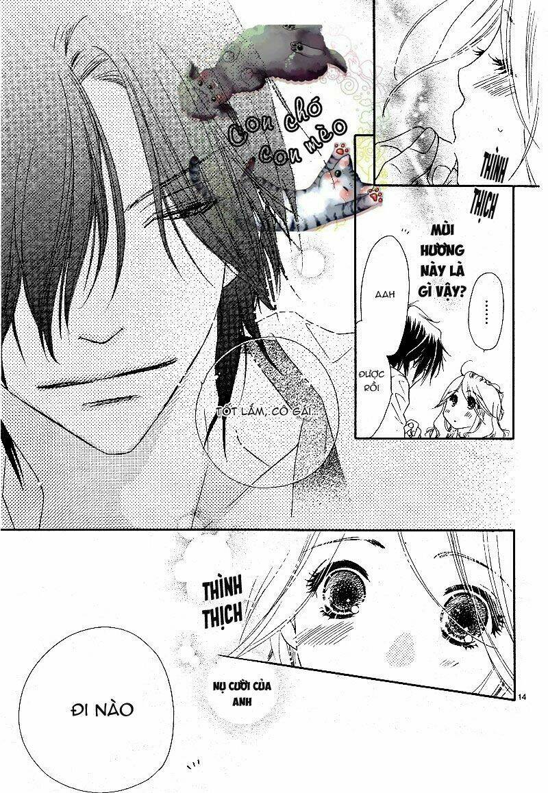 sai x ai chapter 1 14