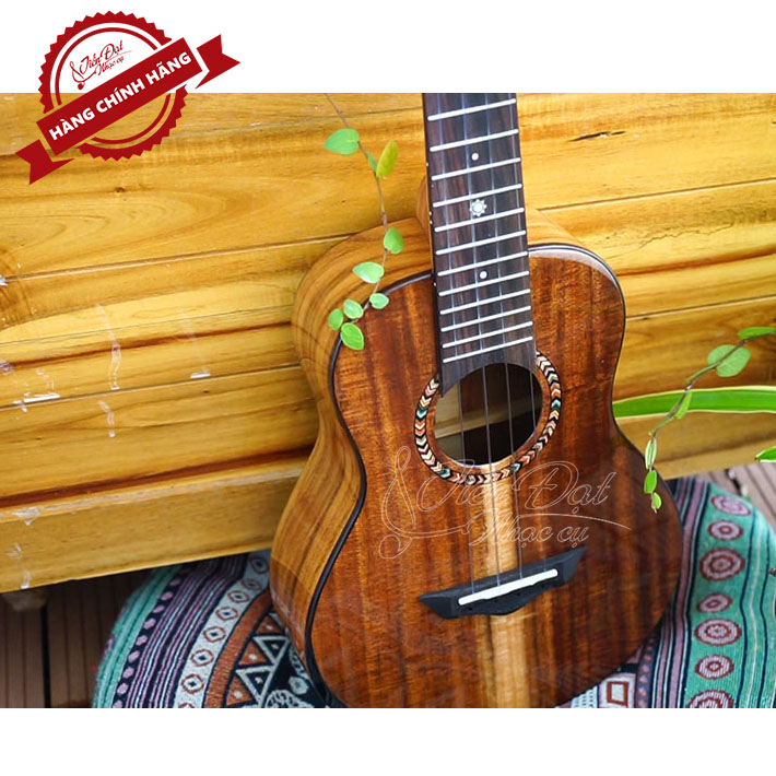 Đàn Ukulele Concert SQOE SQ UK-2420C, Gỗ KOA Nguyên Tấm Cao Cấp, Kèm Quà Tặng - Hàng Chính Hãng