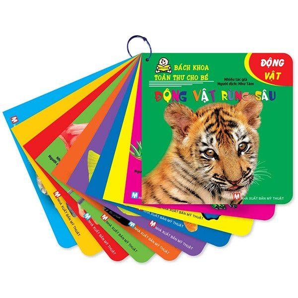 Combo Sách Bách Khoa Toàn Thư Cho Bé - Bản Quyền